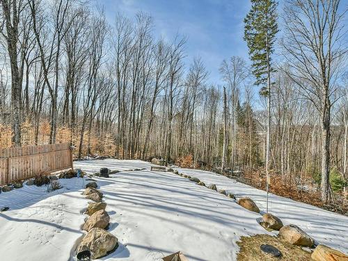 Cour - 135 Allée Du Wigwam, Mont-Tremblant, QC - Outdoor With View