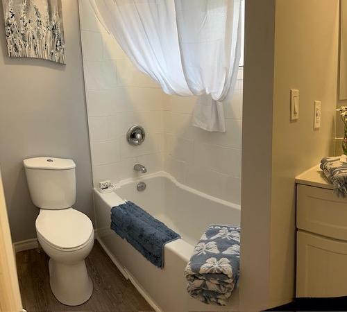 84 Albin Avenue W, Onanole, MB - Indoor Photo Showing Bathroom