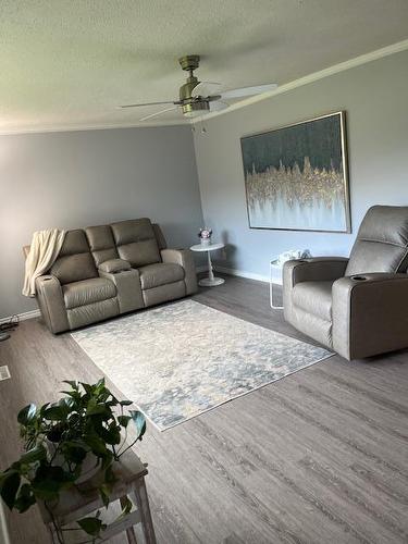 84 Albin Avenue W, Onanole, MB - Indoor Photo Showing Living Room