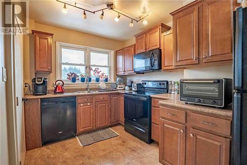 367 Cochrane Street, Greater Sudbury, ON - Indoor Photo Showing Kitchen With Double Sink