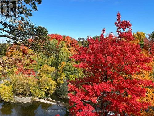 9 - 24 Reid Drive, Mississauga, ON - Outdoor With View