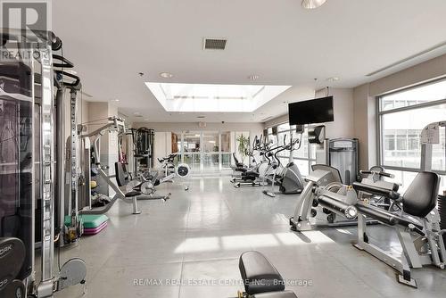 105 - 33 Elm Drive W, Mississauga, ON - Indoor Photo Showing Gym Room