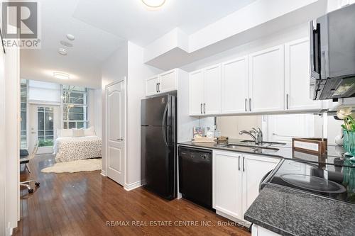 105 - 33 Elm Drive W, Mississauga, ON - Indoor Photo Showing Kitchen With Double Sink