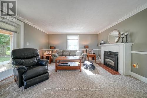 3811 Highway 59, Norfolk, ON - Indoor Photo Showing Living Room With Fireplace