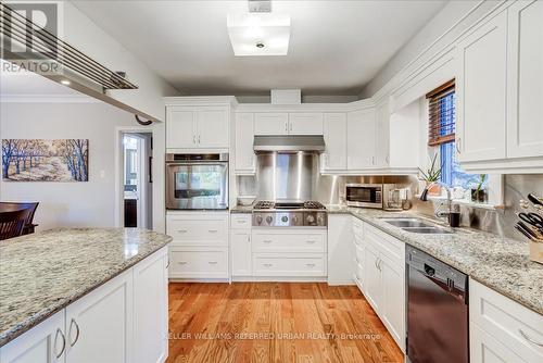 284 Burnett Avenue, Toronto, ON - Indoor Photo Showing Kitchen With Double Sink With Upgraded Kitchen