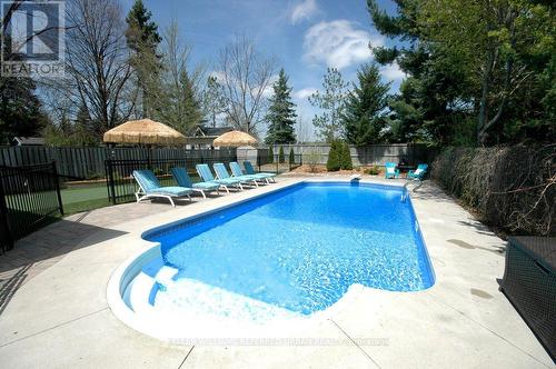 284 Burnett Avenue, Toronto, ON - Outdoor With In Ground Pool With Backyard