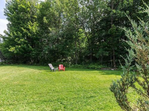 Backyard - 146 Ch. Boivin, Sutton, QC 