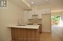 183 Columbus Avenue, Ottawa, ON  - Indoor Photo Showing Kitchen With Double Sink 