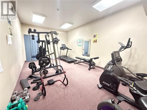 190 Mountain Street Unit# 405, Sudbury, ON - Indoor Photo Showing Gym Room