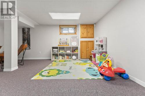 217 Linwood Street, London, ON - Indoor Photo Showing Basement