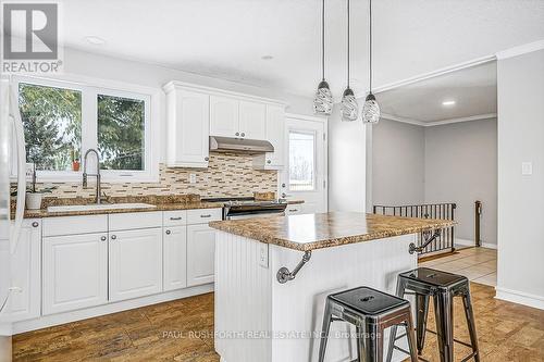 1875 Farwel Street, Ottawa, ON - Indoor Photo Showing Kitchen With Upgraded Kitchen