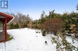 View of snowy yard - 