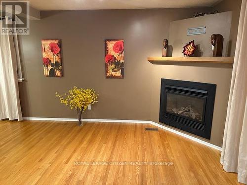 394073 County Road 12, Amaranth, ON - Indoor Photo Showing Living Room With Fireplace