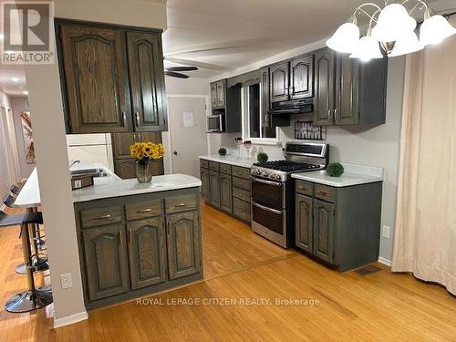 394073 County Road 12, Amaranth, ON - Indoor Photo Showing Kitchen