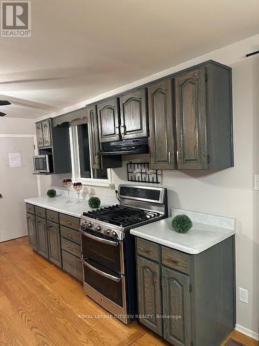 394073 County Road 12, Amaranth, ON - Indoor Photo Showing Kitchen