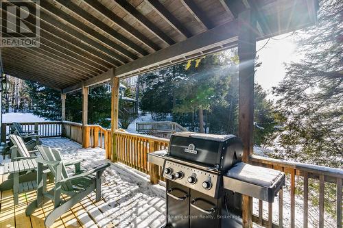 D - 1033 Carnegie Lane, Dysart Et Al, ON - Outdoor With Deck Patio Veranda With Exterior