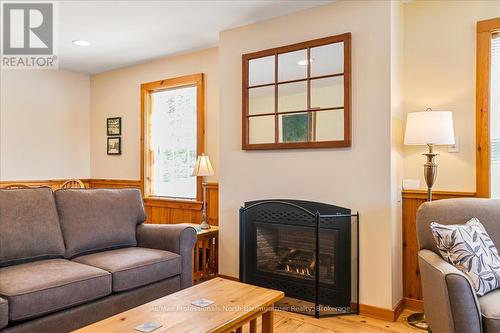 D - 1033 Carnegie Lane, Dysart Et Al, ON - Indoor Photo Showing Living Room With Fireplace