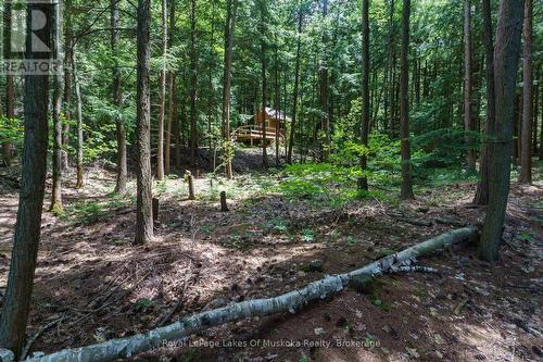 15Kl2 Kahshe, Gravenhurst (Wood (Gravenhurst)), ON 