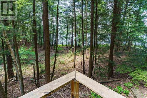 15Kl2 Kahshe, Gravenhurst (Wood (Gravenhurst)), ON 