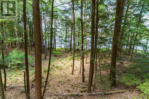 15Kl2 Kahshe, Gravenhurst (Wood (Gravenhurst)), ON 