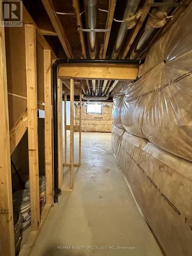 116 Sycamore Street, Welland, ON - Indoor Photo Showing Basement