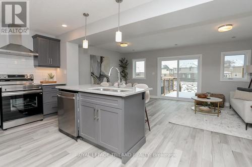 95 Empire Parkway, St. Thomas, ON - Indoor Photo Showing Kitchen With Double Sink With Upgraded Kitchen