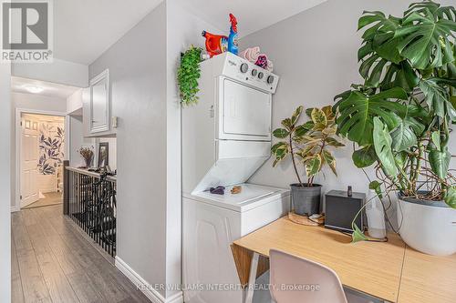 1&2 - 145 Eccles Street, Ottawa, ON - Indoor Photo Showing Laundry Room