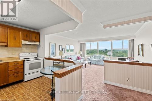 407 - 7 Gale Crescent, St. Catharines (450 - E. Chester), ON - Indoor Photo Showing Kitchen With Double Sink