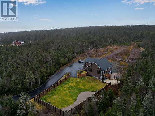 444 Maddox Cove Road, St. John'S, NL - Outdoor With View