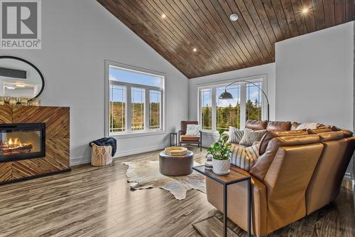 444 Maddox Cove Road, St. John'S, NL - Indoor Photo Showing Living Room With Fireplace