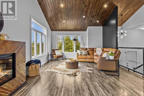 444 Maddox Cove Road, St. John'S, NL - Indoor Photo Showing Living Room With Fireplace