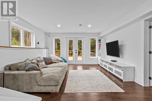 444 Maddox Cove Road, St. John'S, NL - Indoor Photo Showing Living Room