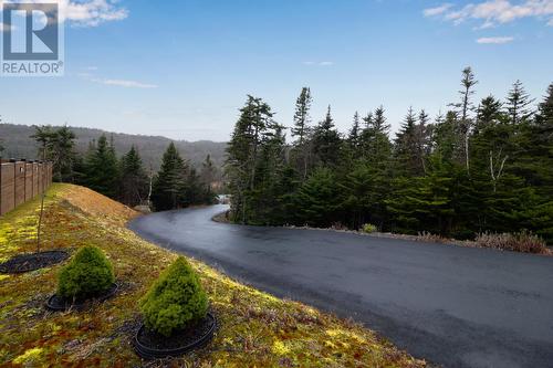 444 Maddox Cove Road, St. John'S, NL - Outdoor With View