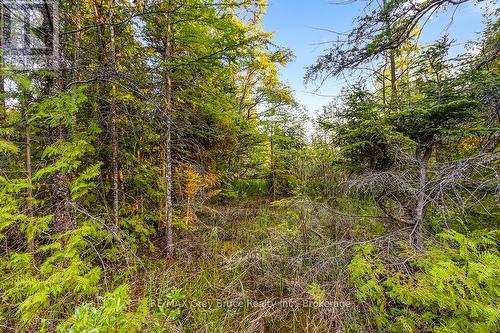 Unit 39 Tamarac Road, Northern Bruce Peninsula, ON 