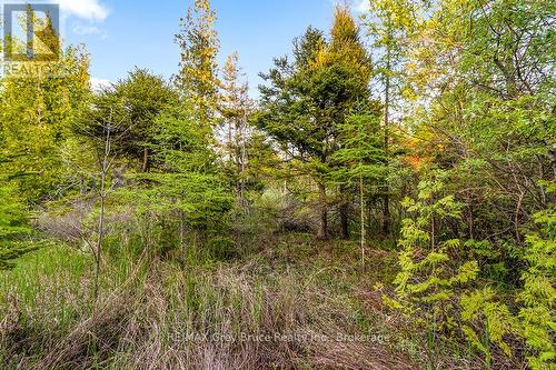 Unit 39 Tamarac Road, Northern Bruce Peninsula, ON 