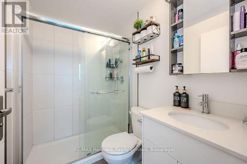 2009 - 60 Frederick Street, Kitchener, ON - Indoor Photo Showing Bathroom