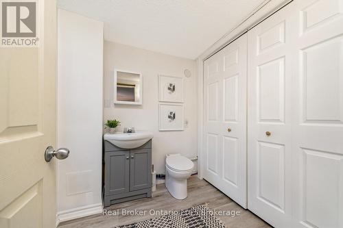 262 Pine Street, Milton (Old Milton), ON - Indoor Photo Showing Bathroom