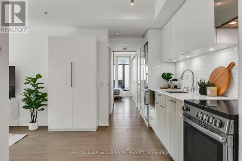 1130 - 251 Jarvis Street, Toronto, ON - Indoor Photo Showing Kitchen With Upgraded Kitchen