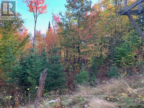 0 Sugar Bush Road E, Magnetawan, ON 