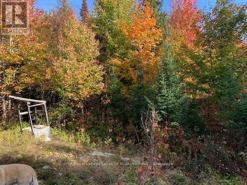 0 Sugar Bush Road E, Magnetawan, ON 