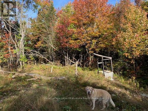 0 Sugar Bush Road E, Magnetawan, ON 