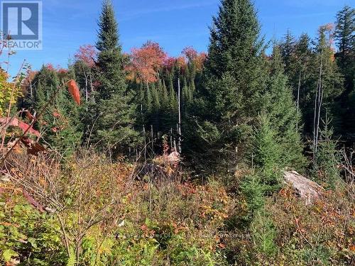 0 Sugar Bush Road E, Magnetawan, ON 