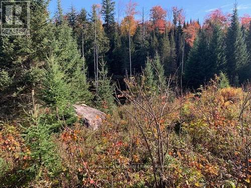 0 Sugar Bush Road E, Magnetawan, ON 