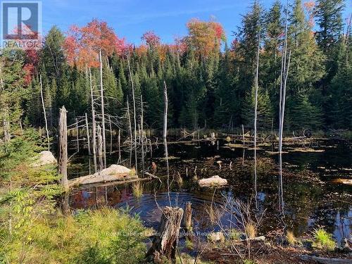 0 Sugar Bush Road E, Magnetawan, ON 