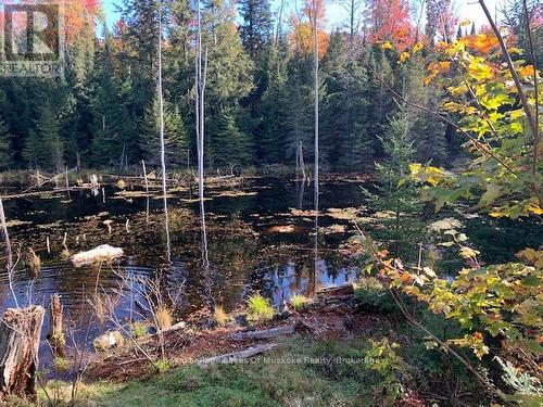 0 Sugar Bush Road E, Magnetawan, ON 