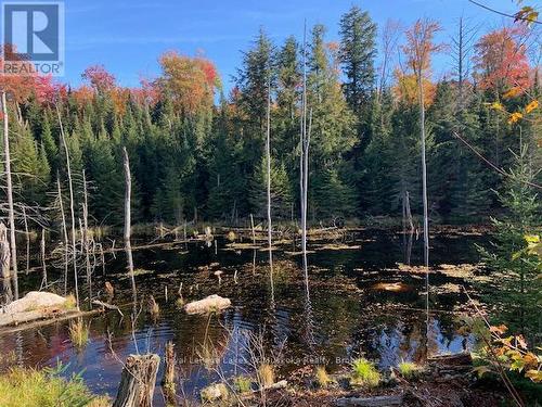 0 Sugar Bush Road E, Magnetawan, ON 