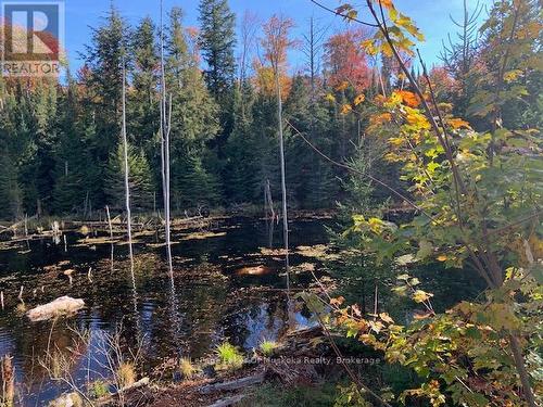 0 Sugar Bush Road E, Magnetawan, ON 