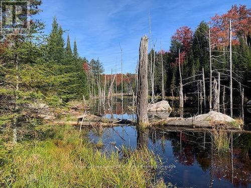 0 Sugar Bush Road E, Magnetawan, ON 