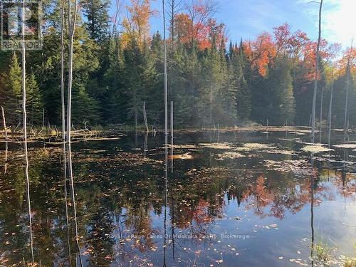 0 Sugar Bush Road E, Magnetawan, ON 