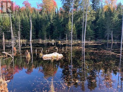 0 Sugar Bush Road E, Magnetawan, ON 